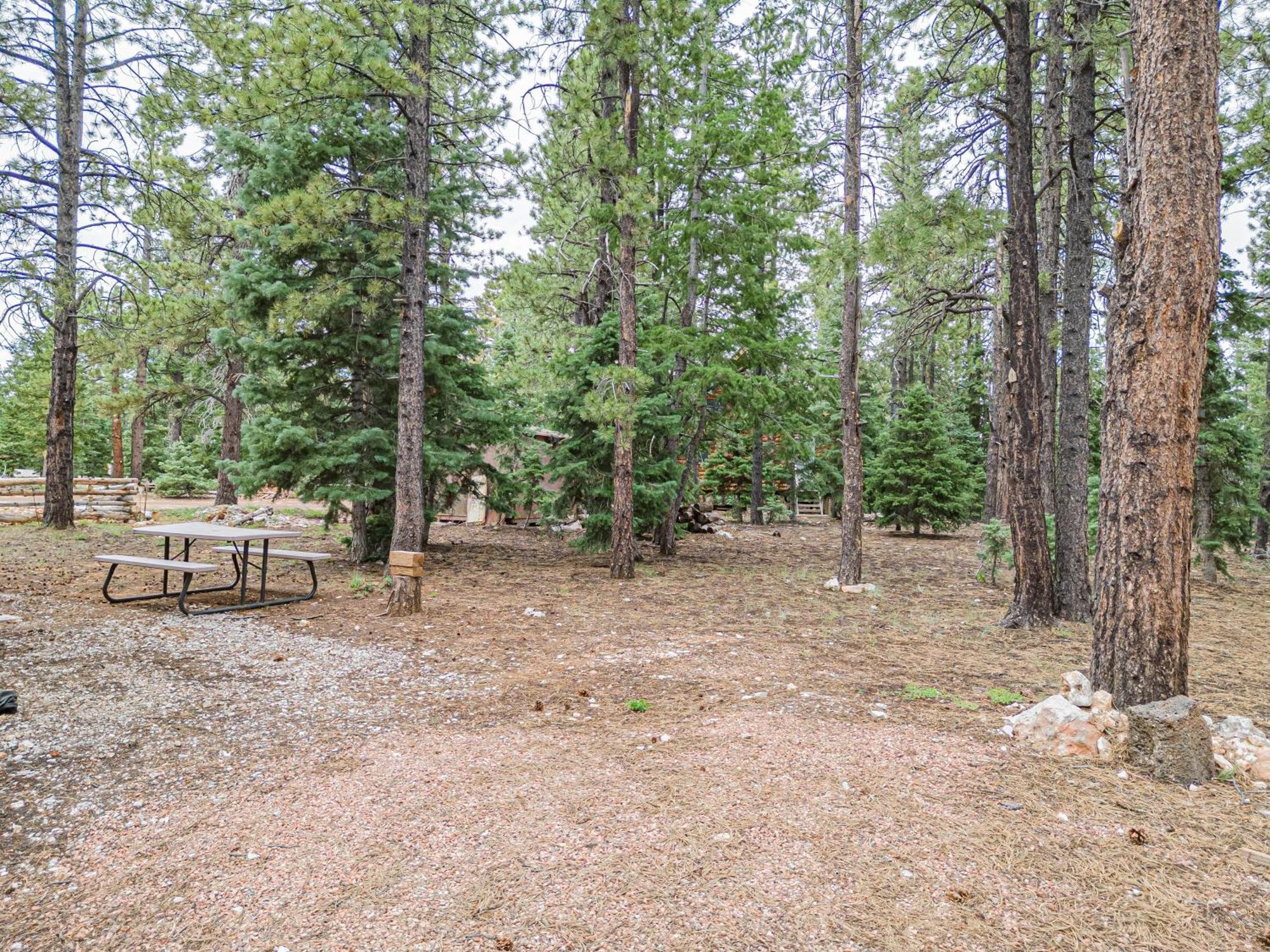 Вілла Hillside Hideaway Duck Creek Village Екстер'єр фото